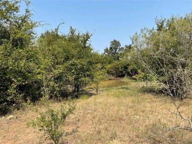 TBD County Road 424, de Leon, TX 76444 - photo 3