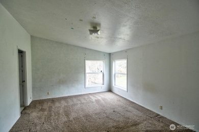 7 Hotdog Ln, Elma, WA 98541 - photo 7