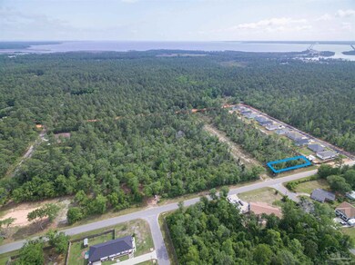 Lot 1 N 11th Ave, Avalon, FL 32583 - photo 7