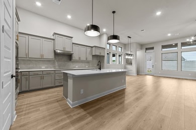 3320 Abelia St, McKinney, TX 75071 - photo 3