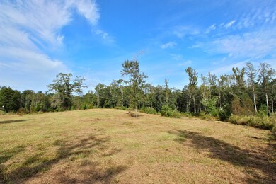 IMG_9718