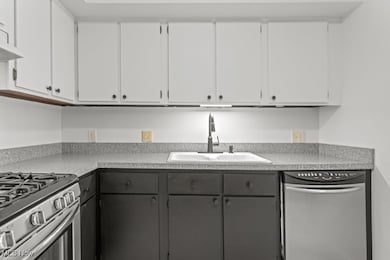 1105 Canyon View Rd unit 106, Northfield, OH 44067 - photo 7