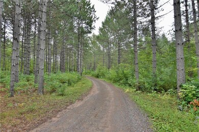 29905 Minerva Rd, Danbury, WI 54830 - photo 4