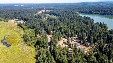 18230 Bald Hill Rd SE, Yelm, WA 98597 - photo 7