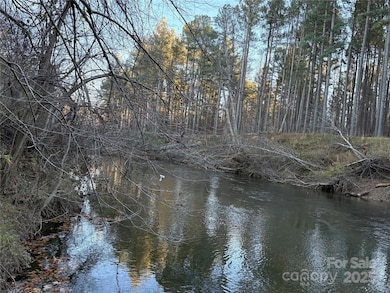 0 Polk County Line Rd unit CAR4322658, Rutherfordton, NC 28139 - photo 3