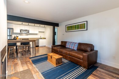 2079 Chamonix Ln unit 5, Vail, CO 81657 - photo 5