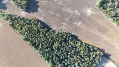 0 Cypress Dale Rd, Union Township, IN 47712 - photo 2