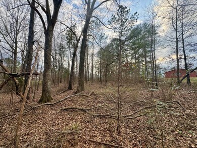 0 Lot 1 Sartain Rd unit 25-437, Dennis, MS 38838 - photo 3