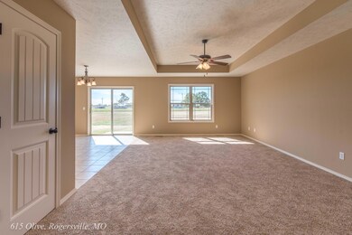 615 Olive, Rogersville, MO-6
