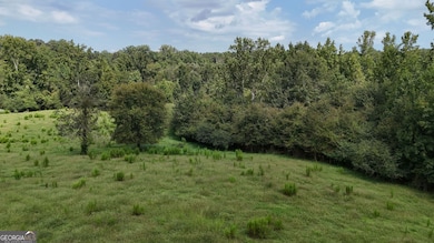 10 Red Rose Rd, Nicholson, GA 30565 - photo 7