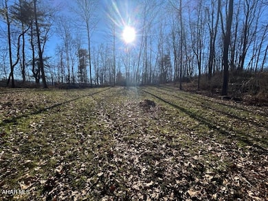 0 Hundred Springs Rd, Warriors Mark Township, PA 16686 - photo 4