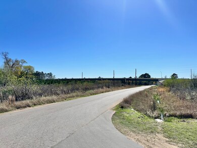 0 Circle Lake Dr, Pinehurst, TX 77362 - photo 2