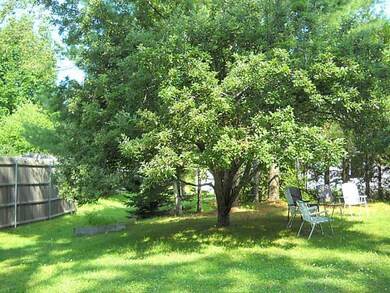 Yard/Garden.