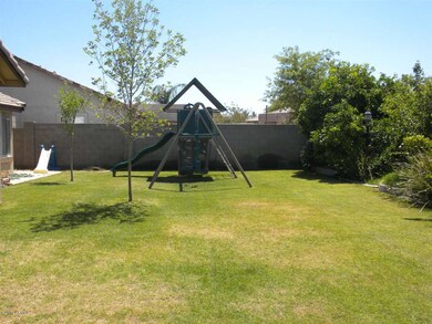 Backyard 1