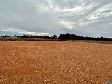 004 Highway 72, Athens, AL 35611 - photo 3
