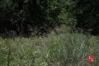 Teal Rd, Ardmore, OK 73401 - photo 3