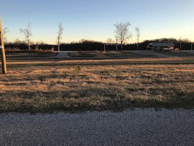 123 Catfish Ln, Savannah, TN 38327 - photo 3