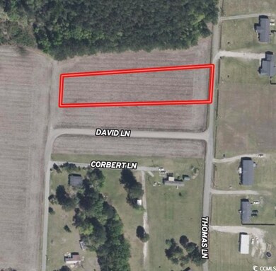 TBD Thomas Dr unit TBD Corbet Ln., Kingstree, SC 29556 - photo 4