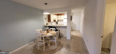 35979 Condo Dr unit B202, Rehoboth Beach, DE 19971 - photo 3