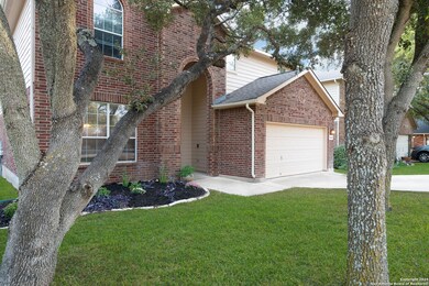 3646 Cotoneaster, San Antonio, TX 78261 - photo 3