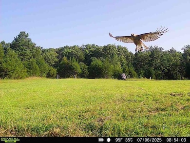 22019 State Highway K, Falcon, MO 65470 - photo 2