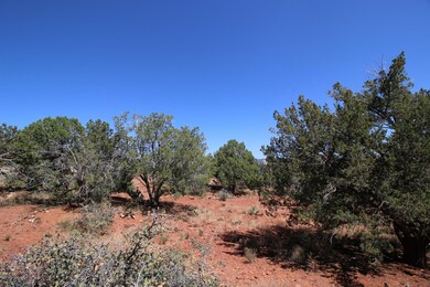 IMG_1761
