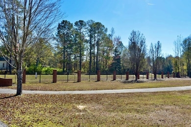 13215 Hwy 43, Linden, AL 36748 - photo 4
