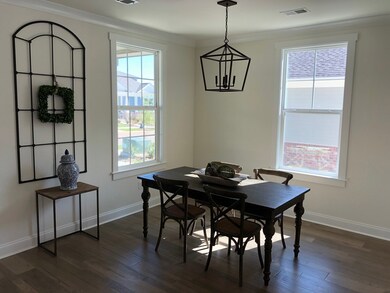 509 Shreve Oak Cir, Oxford, MS 38655 - photo 5