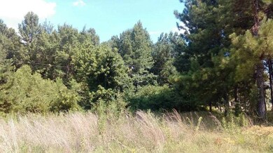 0 Farm To Market 2148, Texarkana, TX 75501 - photo 6