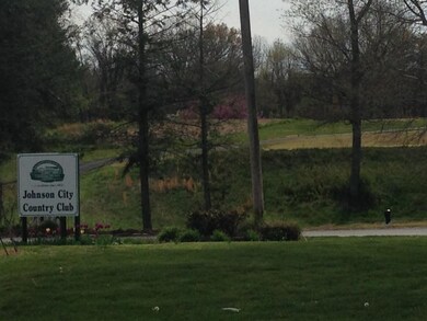 2005 E Unaka Ave, Johnson City, TN 37601 - photo 3