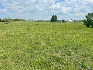 Lot 1 Fielding Rd, Athens, AL 35611 - photo 3