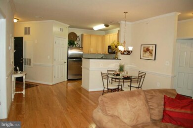 42432 Hollyhock Terrace unit 203, Ashburn, VA 20148 - photo 2