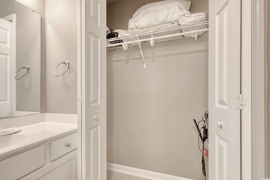 Closet with a sink