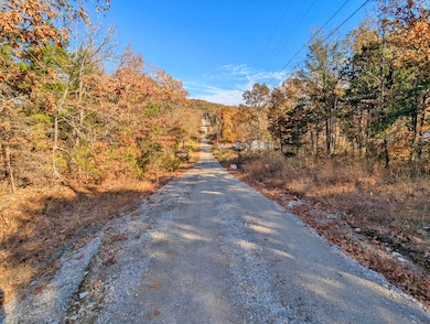 Lot 69&70 Bluebird Rd, Merriam Woods, MO 65740 - photo 4