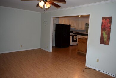 Living room open to kitchen