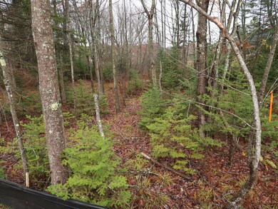 16 Renee Rd, Freeport, ME 04032 - photo 6