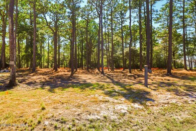 406 Summer Duck, Beaufort, NC 28516 - photo 4