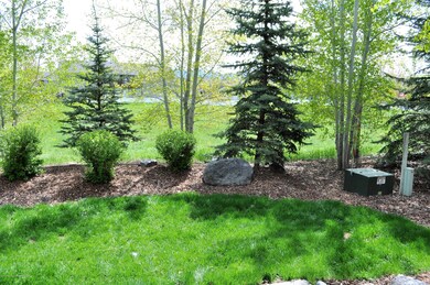 2 Backyard