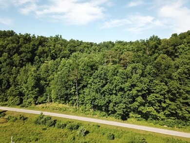 999 Buncomb Creek Rd, Tyner, KY 40486 - photo 7