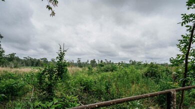 172 Lisbon Rd, SMacKover, AR 71762 - photo 5