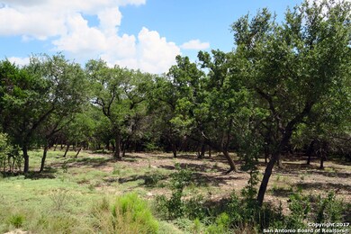 20331 Bobwhite Run, San Antonio, TX 78256 - photo 3