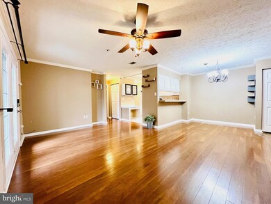 12205 Eagles Nest Ct unit A, Germantown, MD 20874 - photo 6