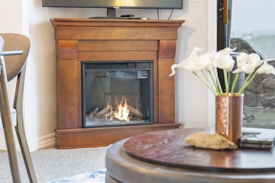 100 Getaway Cir unit 116, Kimberling City, MO 65686 - photo 7