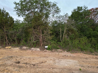 185 Fan Mill Trail, Weatherford, TX 76085 - photo 5