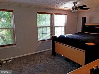 12007 Beltsville Dr, Beltsville, MD 20705 - photo 7