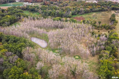 3070 E County Road 900, Plymouth, IL 62367 - photo 7