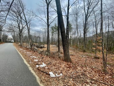 Lot #40 Round-The-pond Rd, Norway, ME 04268 - photo 3