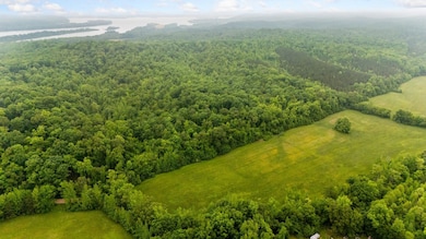 230 Roberts Creek Rd, Waverly, TN 37185 - photo 2