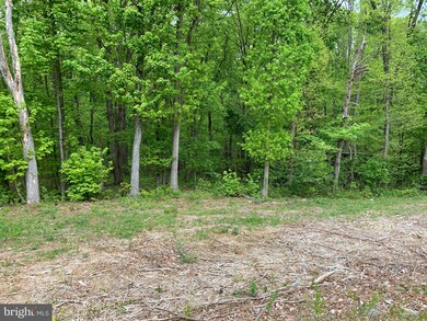 6701 Us Highway 340 N, 1, West Luray, VA 22650 - photo 2