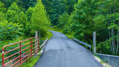 TBD 6 Big Laurel Rd, Creston, NC 28615 - photo 4